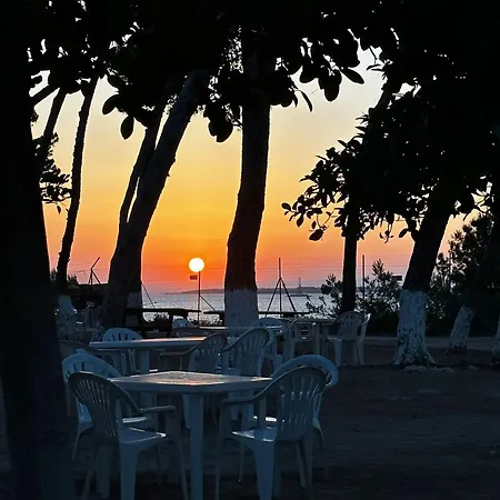 Old Fisherman's Tarente